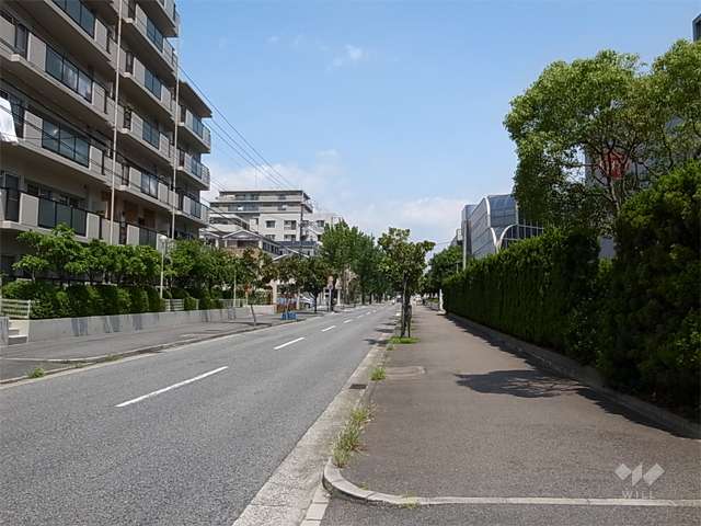 敷地の東側前面道路。周辺には住宅の他、工場もあります。