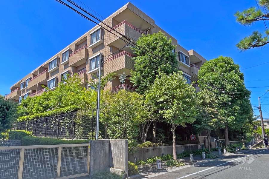 ヒルズ学芸大学の外観（南側から）