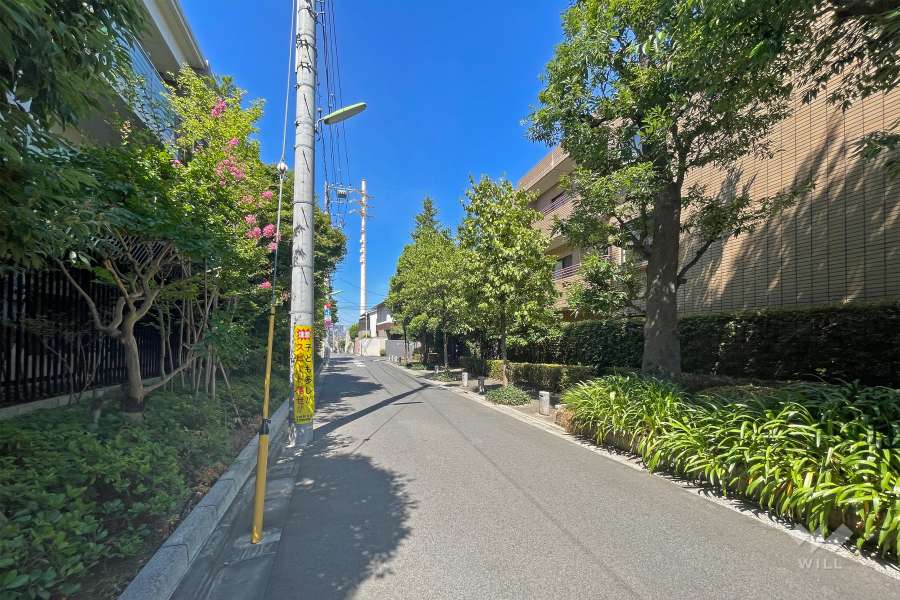 敷地の北西側道路の西側から