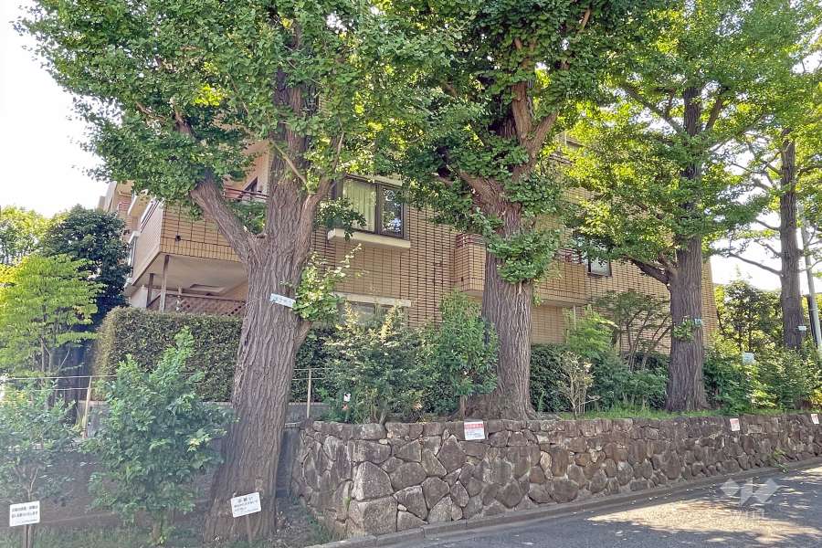 ヒルズ学芸大学の外観（西側から）