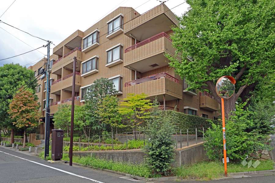 ヒルズ学芸大学の外観（北東側から）