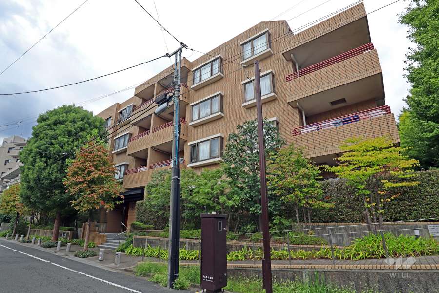 ヒルズ学芸大学の外観（東側から）