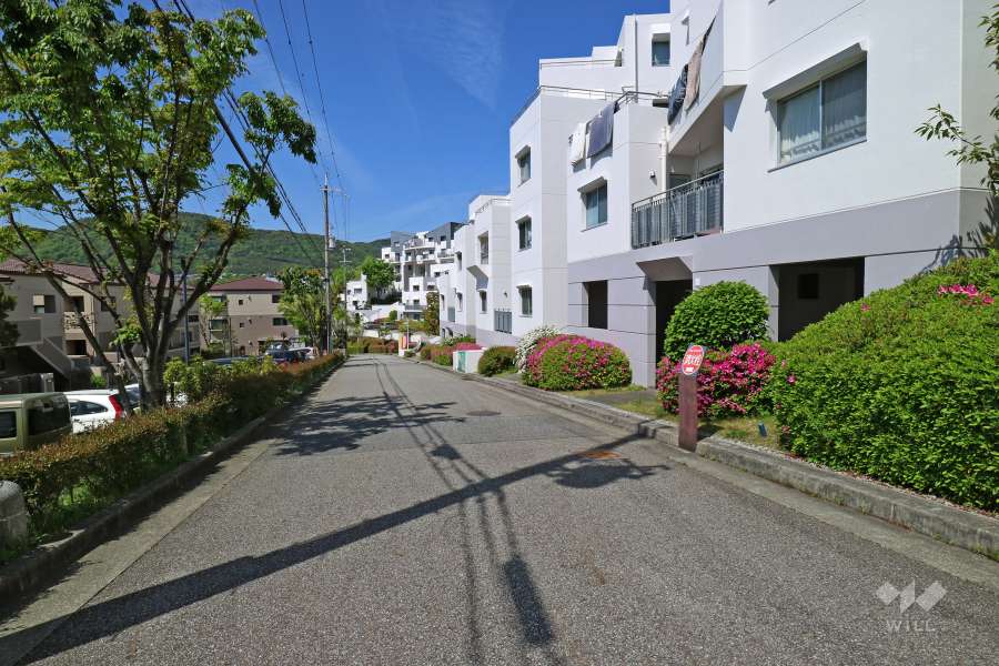 敷地南側の前面道路（東側から）