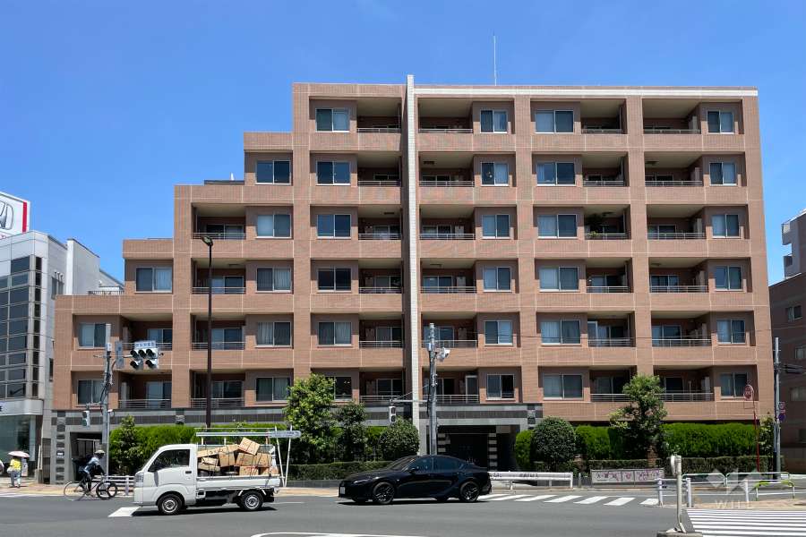 アデニウム学芸大学の外観（南側から）