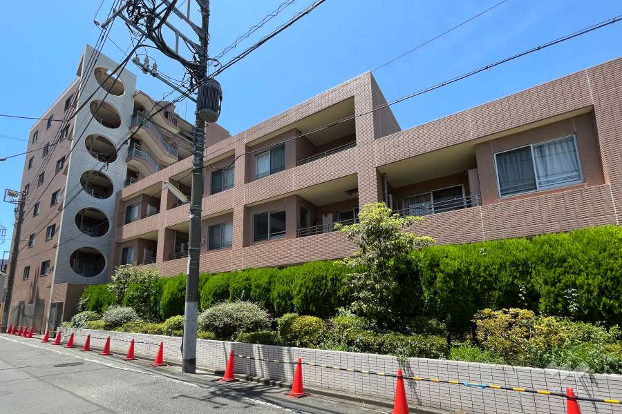 アデニウム学芸大学の外観（北東側から）