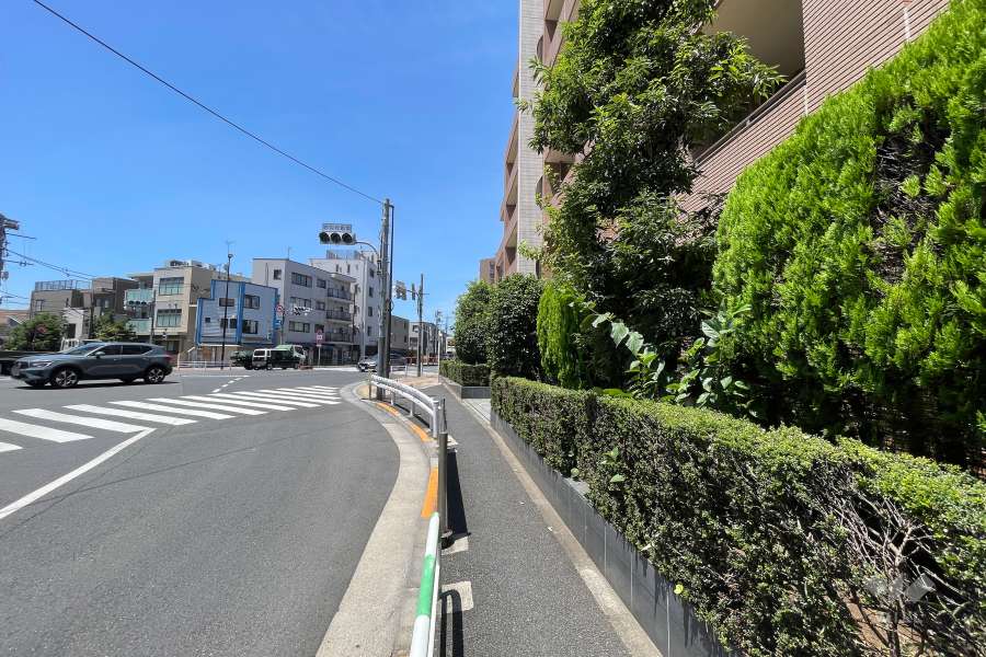 敷地南側の前面道路（東側から）