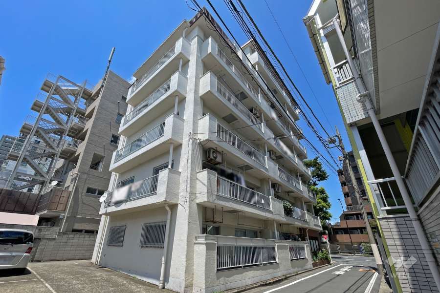 ローヤルハイツのざわの外観（南側から）