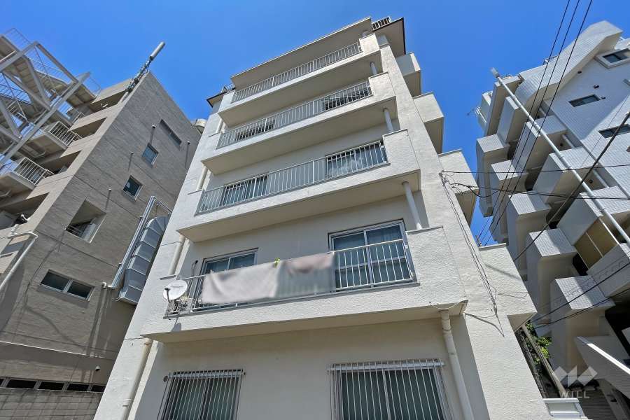 ローヤルハイツのざわの外観（南西側から）