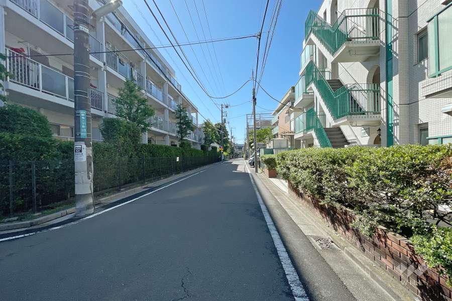敷地北側の前面道路（西側から）