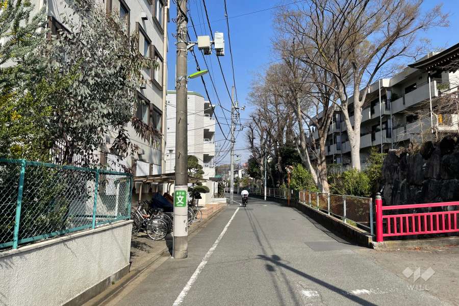 敷地の北東側前面道路（南東側から）