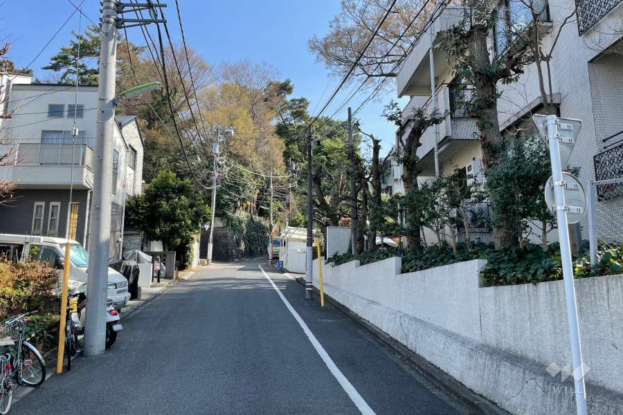 敷地の北西側前面道路（南西側から）