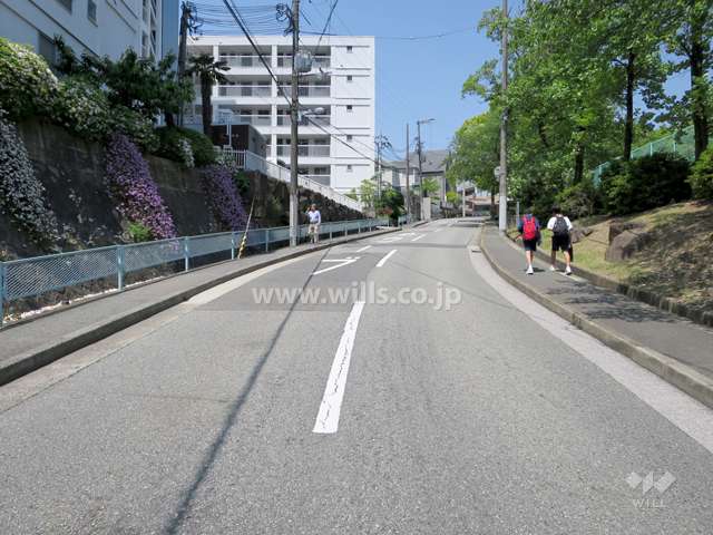 敷地北側の前面道路