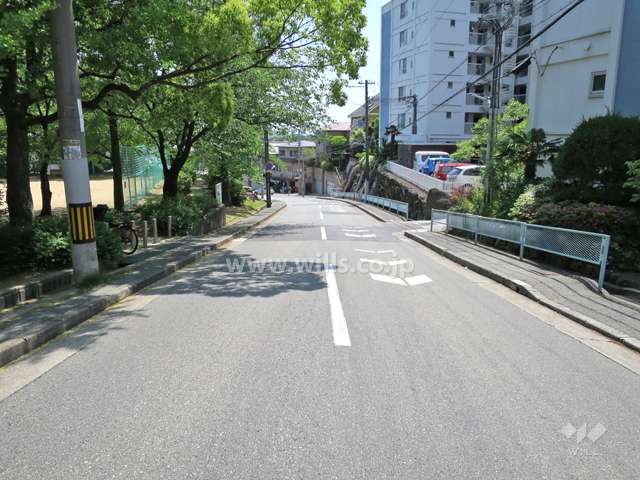 敷地北側の前面道路。道を挟んで、『豊楽公園』があります。