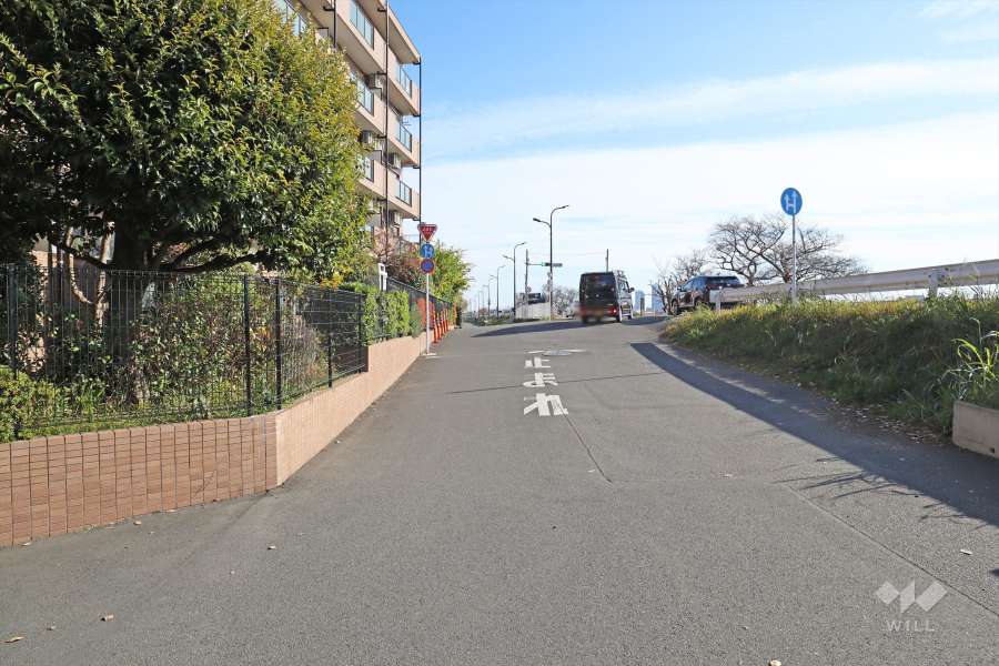 敷地南西側の前面道路　