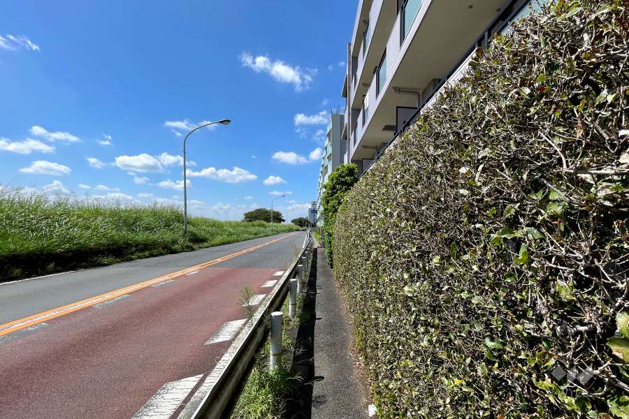 敷地南西側の前面道路（南東側から）