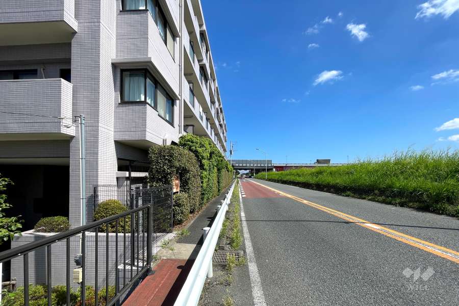 敷地南西側の前面道路（北西側から）