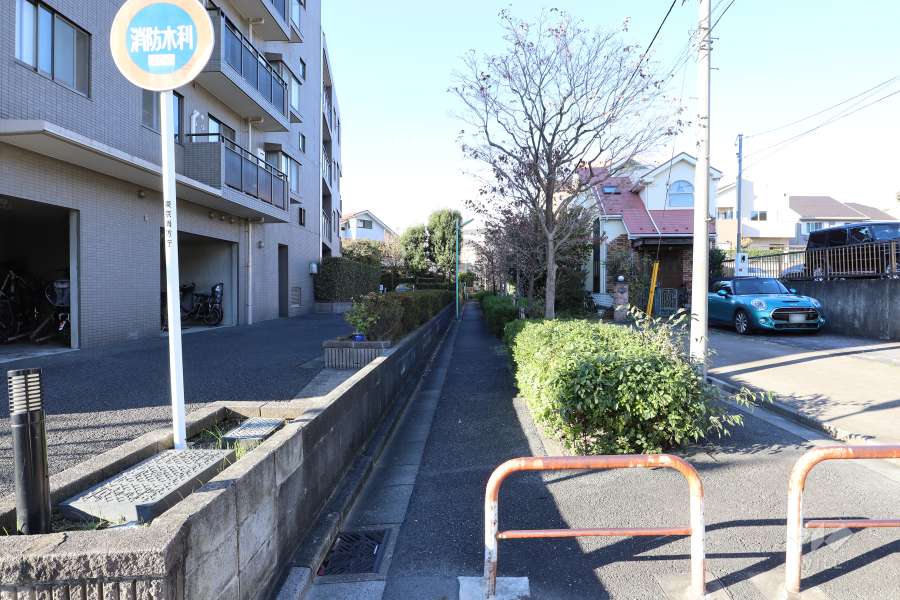 敷地北東側の前面道路（南東側から）