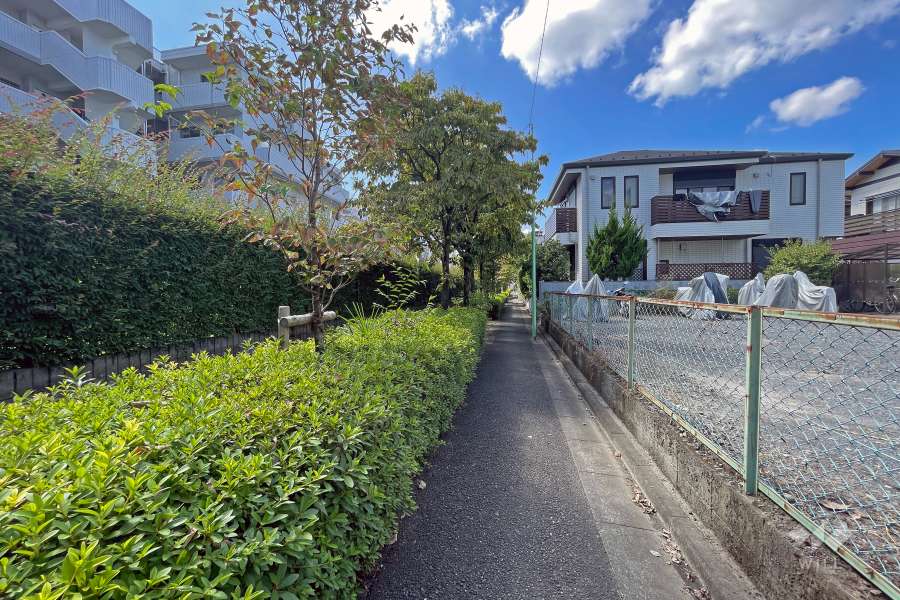 敷地北東側の前面道路（北西側から）