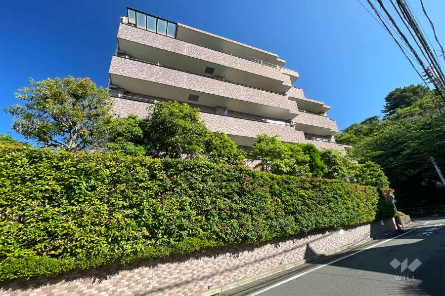 クレッセント上野毛３の外観（南側から）