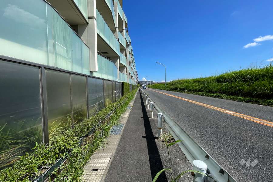 敷地南西側の前面道路（北西側から）