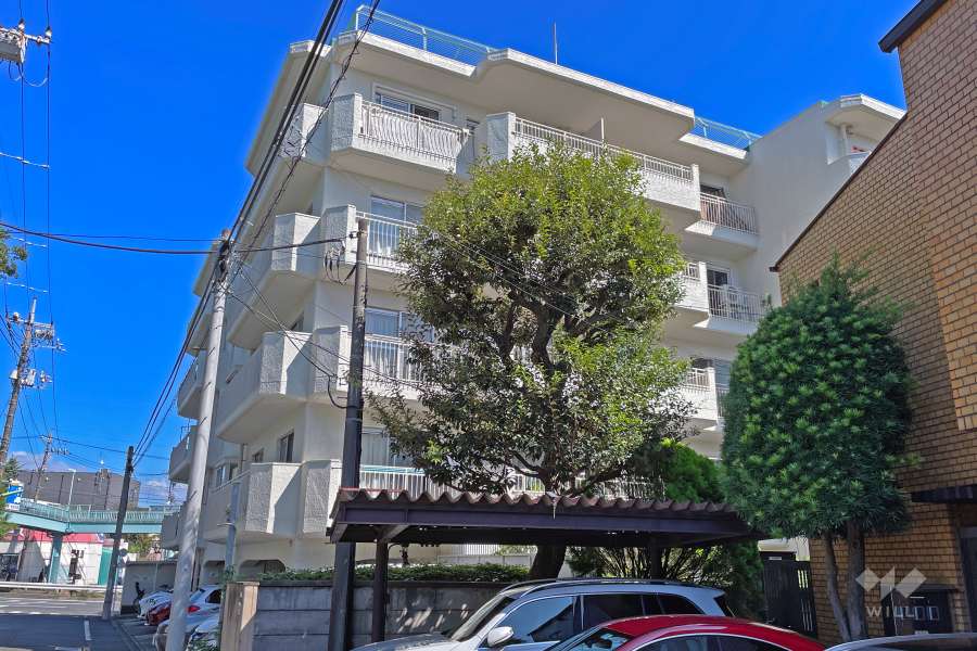 等々力渓谷スカイマンションの外観（南西側から）