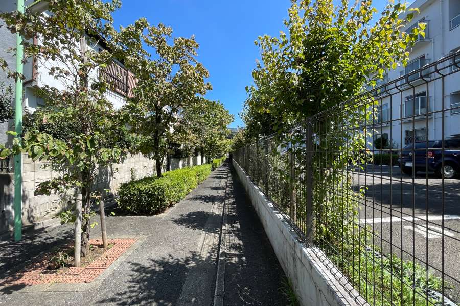 敷地の北東側通路（北西側から）