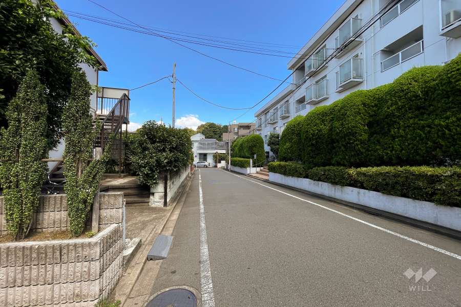 敷地北西側の前面道路（南西側から）