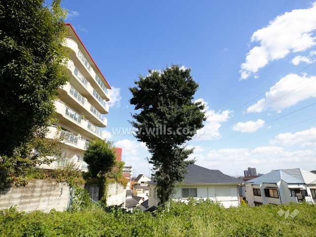 敷地南側は抜けています。