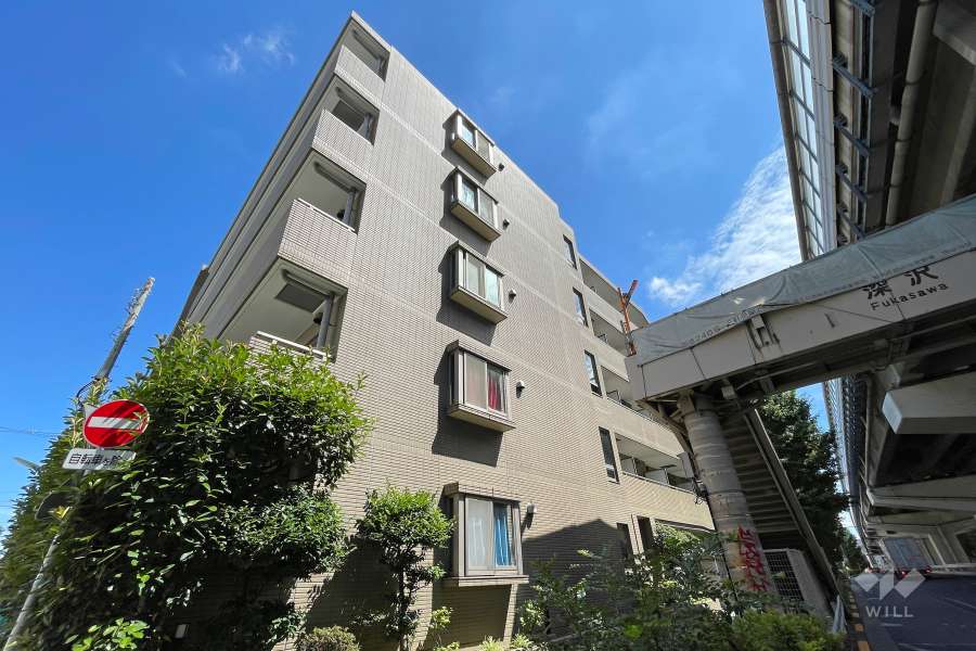 菱和パレス世田谷桜新町の外観（南側から）