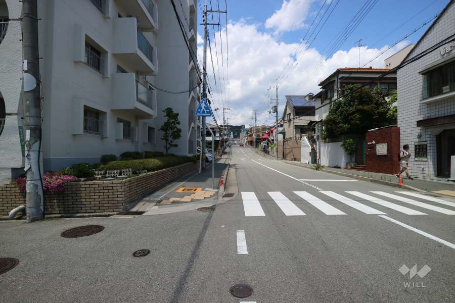敷地東側の前面道路（南側から）