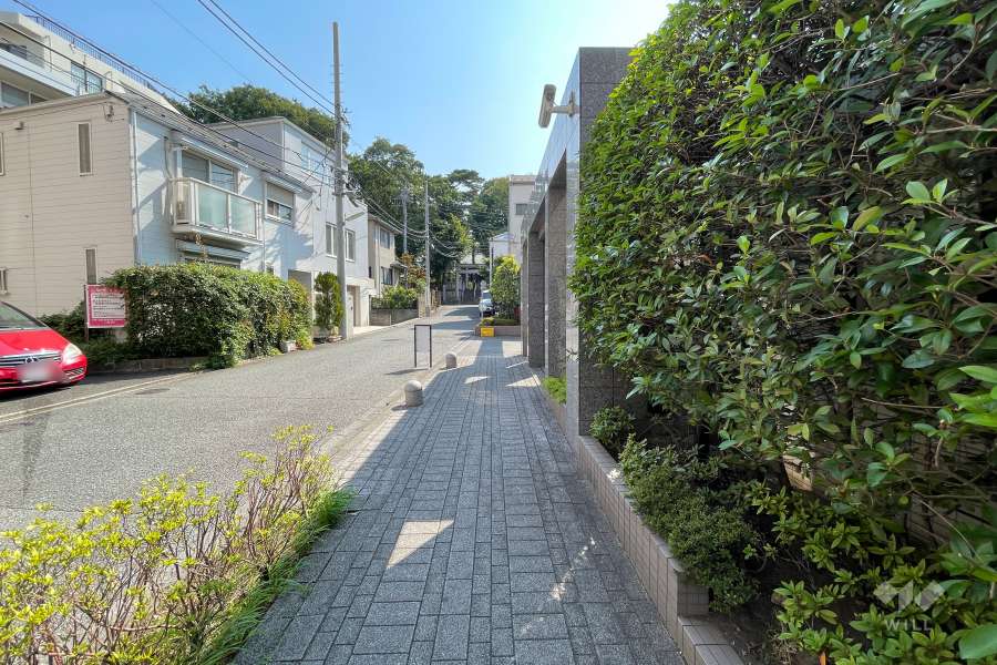 敷地北側の前面道路（西側から）