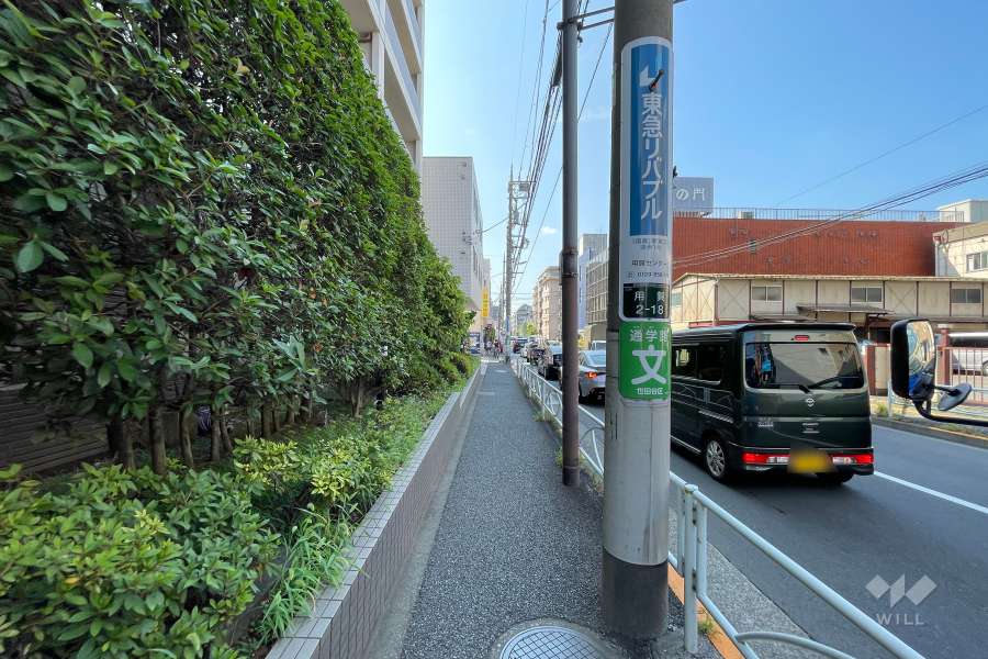 敷地西側の前面道路（北側から）