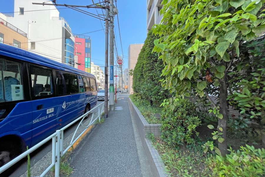 敷地西側の前面道路（南側から）