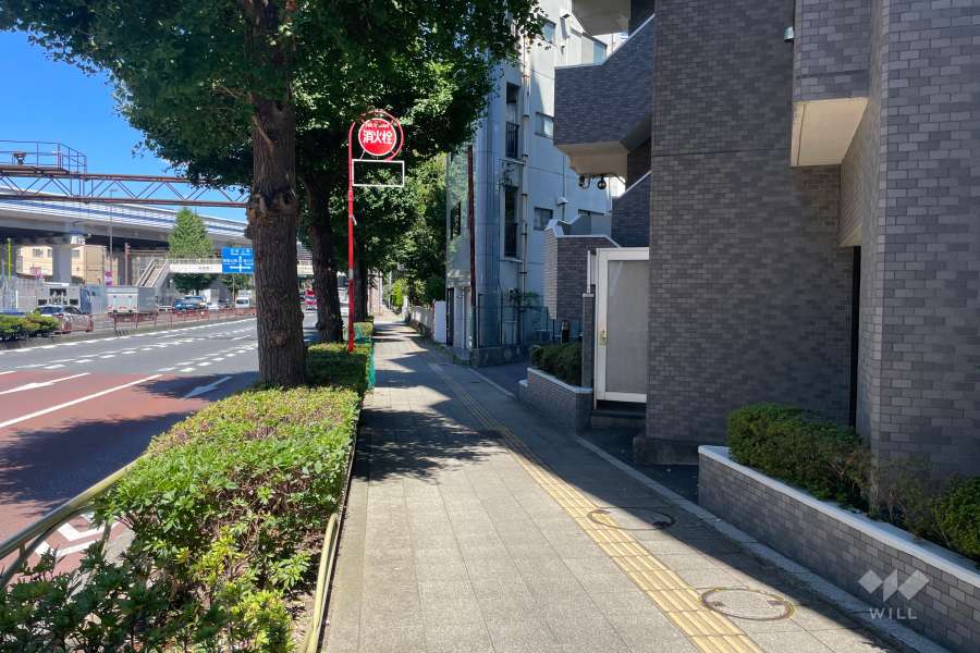 敷地北西側の前面道路（南西側から）