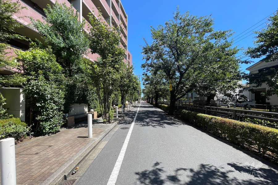 敷地南西側の前面道路