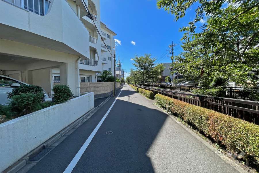 敷地南西側の前面道路（北西側から）