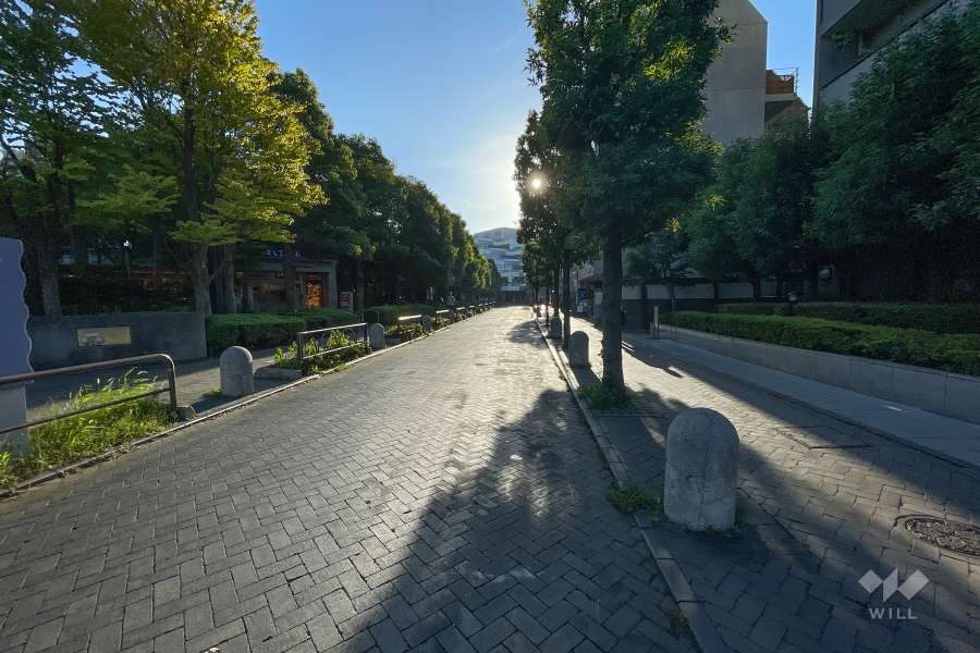 敷地南側の前面道路（東側から）