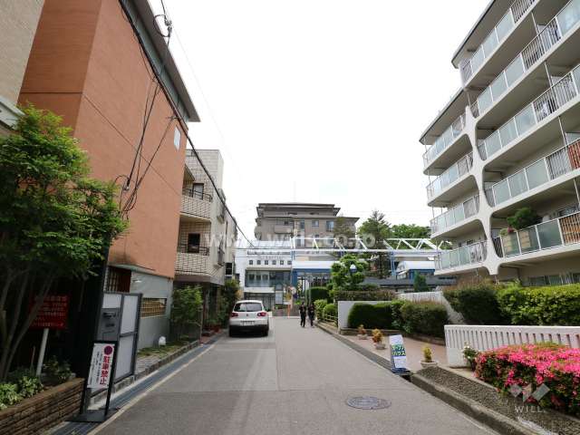 夙川台スカイハイツの南側前面道路（東側から）