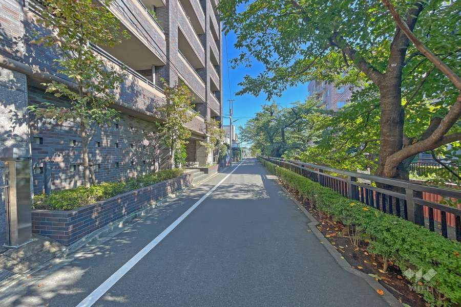 敷地南西側の前面道路（東側から）