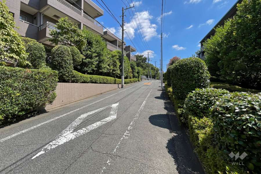 敷地南側の前面道路（西側から）