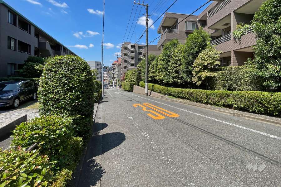 敷地南側の前面道路（東側から）