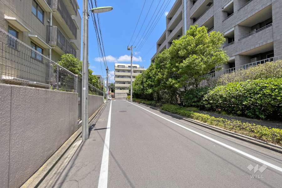 敷地西側の前面道路（南側から