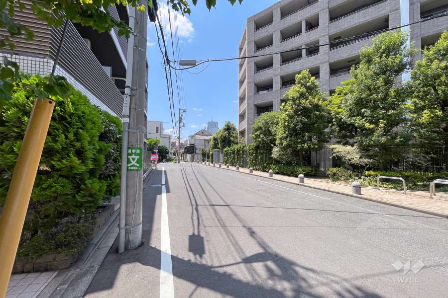 敷地東側の前面道路（北側から）