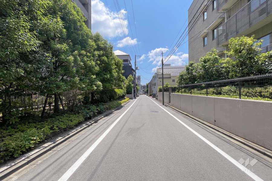 敷地西側の前面道路（北側から）