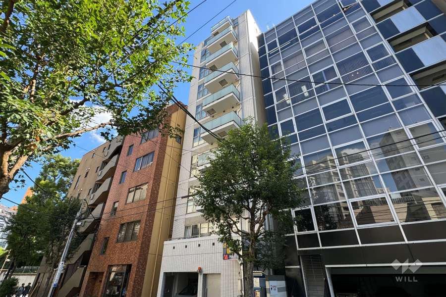 アピス一番町の外観（西側から）