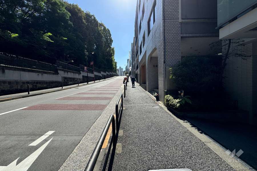 敷地の東側前面道路（北側から）