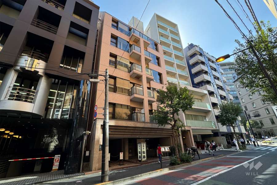 グランドメゾン一番町の外観（北東側から）