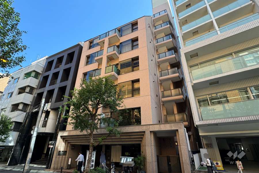 グランドメゾン一番町の外観（北西側から）