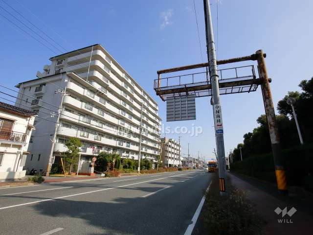 敷地南側の前面道路（4車線の通りです。）