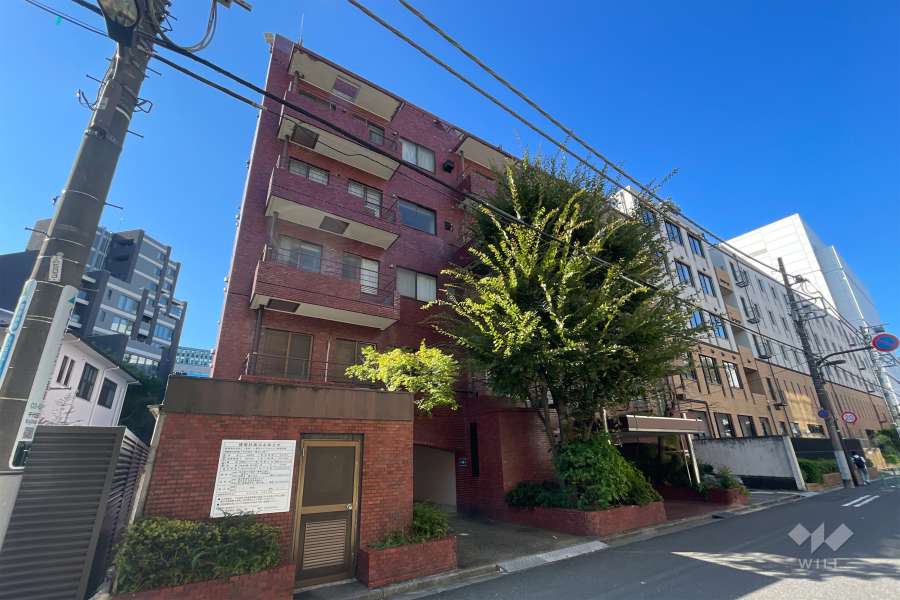 一番町ロイアルハイツの外観（北東側から）